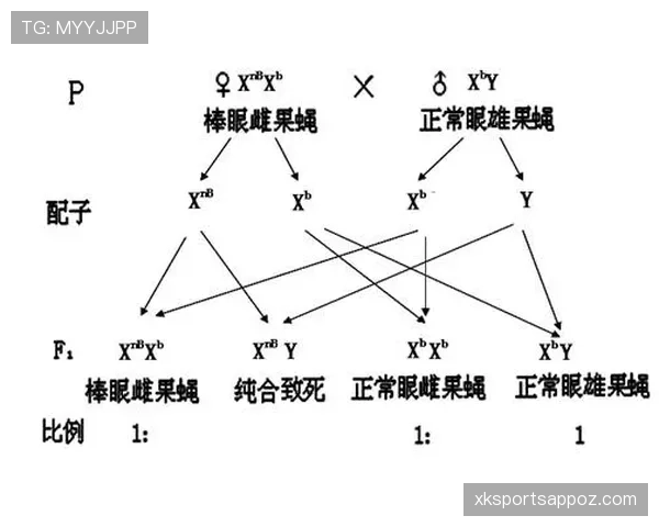 I组头名竞争格局解读